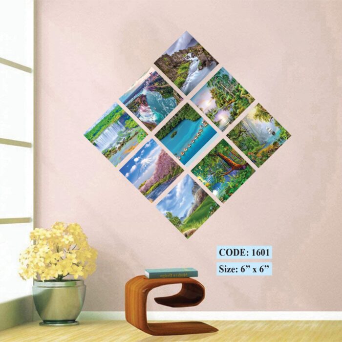 Squire Canvas 9 pic set, Code 1601