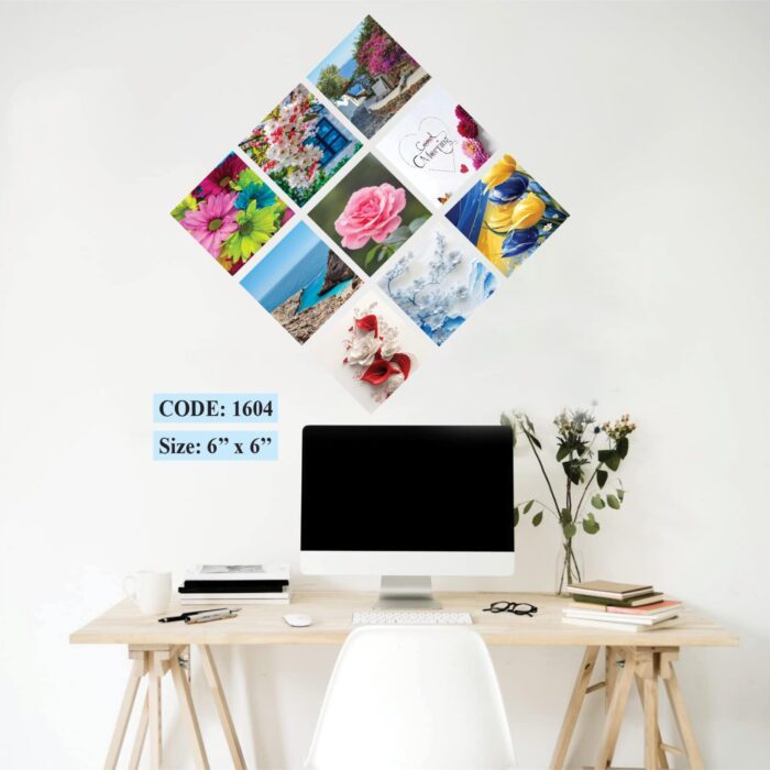 Squire Canvas 9 pic set, Code 1604
