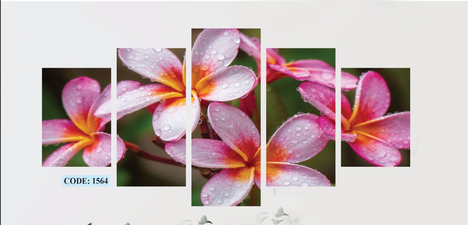 WhatsApp Image 2025-08-02 at 12.12.31_7770c4e9